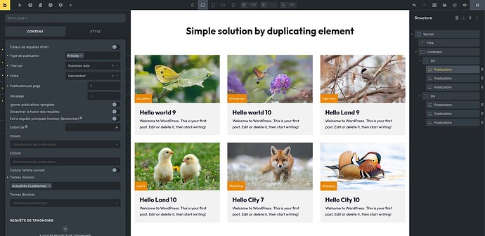 Duplicate- 1