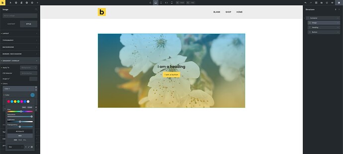 image-element-absolute-as-background-image