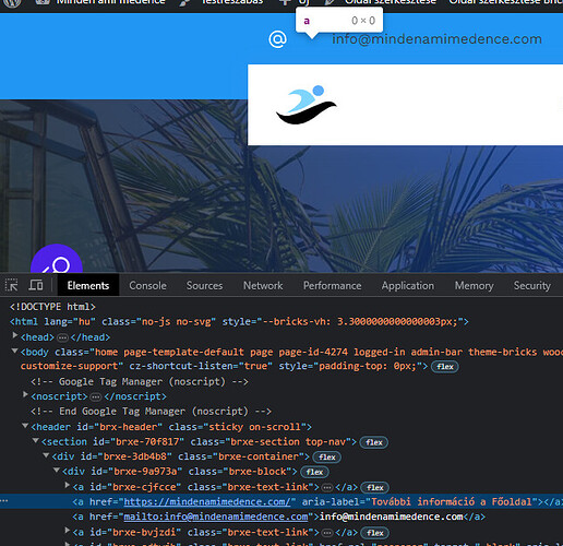 NO BUG: Dynamic data on link element design problem - Bugs - Bricks ...
