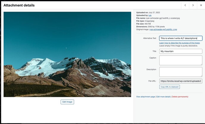 Screenshot 2022-08-11 at 18.30.26