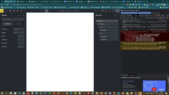 WAIT: Conflict with pixelyoursite - Bugs - Bricks Community Forum