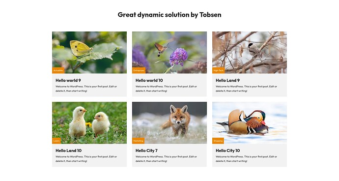 Visuel-Tobsen