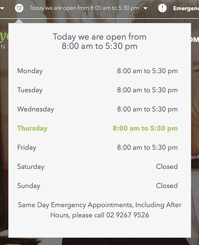 Opening Hours