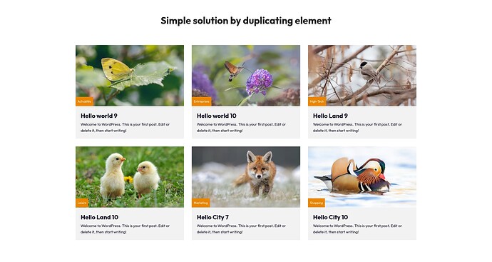 Visuel-Duplicate