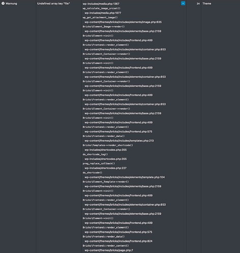 bricks-builder-php-warning-4