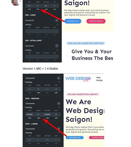 SOLVED: Theme Styles Button values - Bugs - Bricks Community Forum