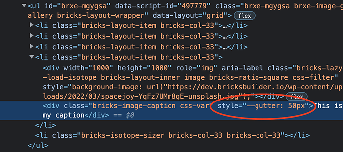 SOLVED: Caption Image Gallery - Bugs - Bricks Community Forum