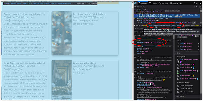 SOLVED: 1.5b - Query Loop w/hover affects entire page - Bugs - Bricks ...