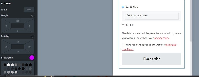 Pay Now Button