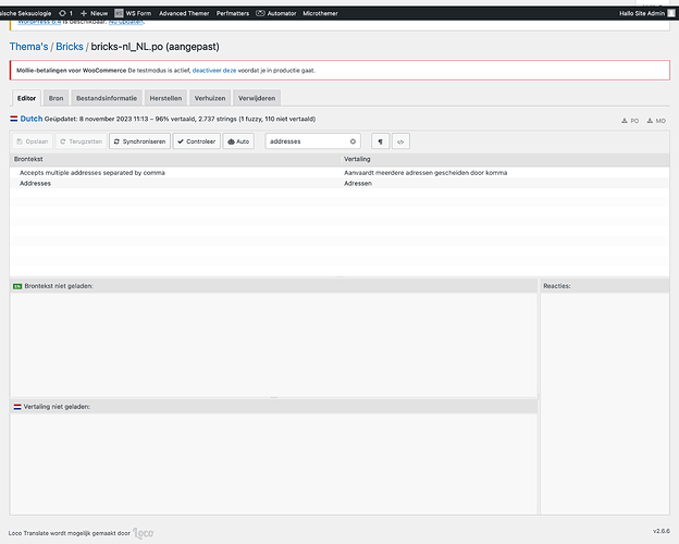 Screenshot 2023-11-08 at 11-22-35 Bewerken van bricks-nl_NL.po in Bricks ‹ Thema vertalingen ‹ Loco ‹ Platform Forensische Seksuologie — WordPress