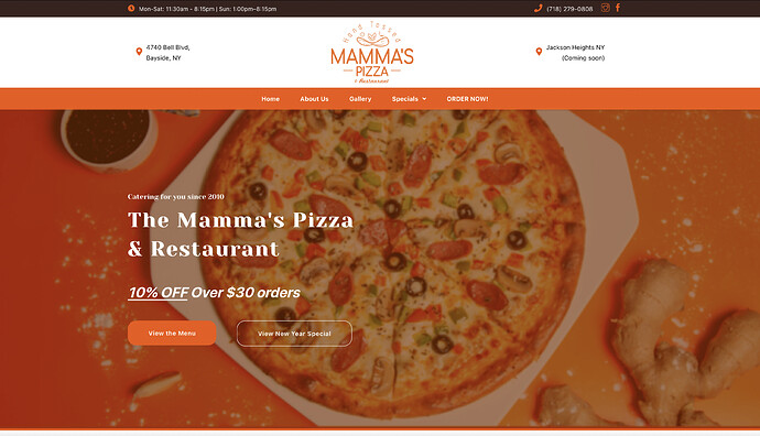 The Mamma's Pizza
