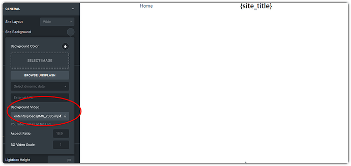 SOLVED: Themestyle Background Video - Bugs - Bricks Community Forum
