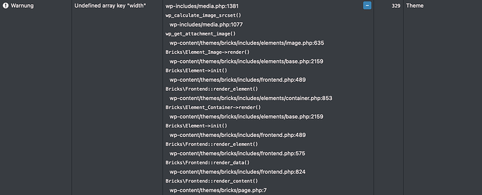 bricks-builder-php-warning-2