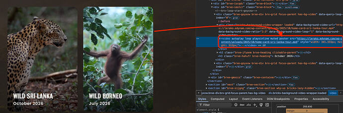 Screenshot 2025-11-09 at 6.24.04 pm