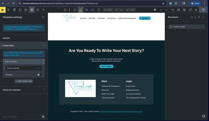 Bricks-template-error-screenshot