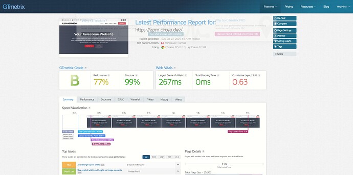 screenshot-gtmetrix.com (2)