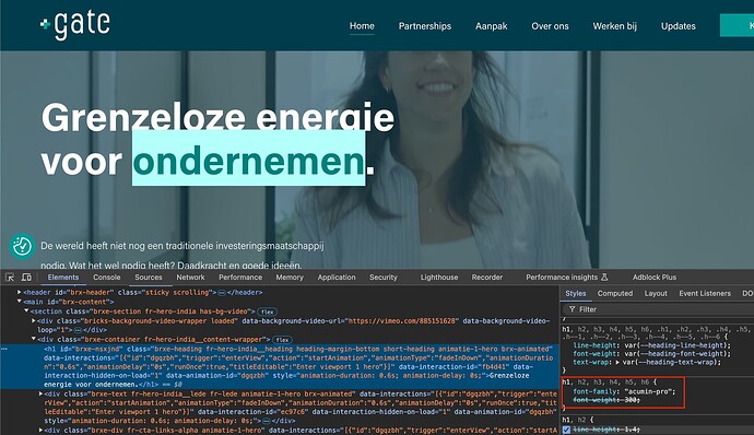 Scherm­afbeelding 2024-10-22 om 20.11.08