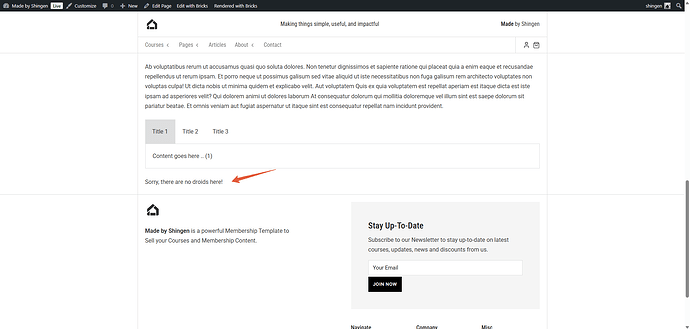 Styles-–-Made-by-Shingen-04-01-2026_06_13_AM