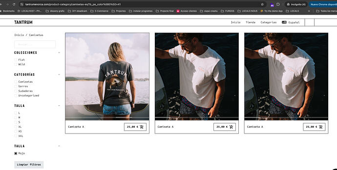 Captura de pantalla 2026-01-17 a las 13.49.12