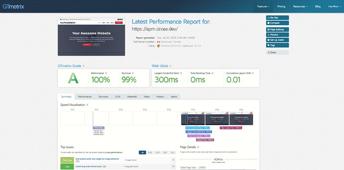 screenshot-gtmetrix.com (4)