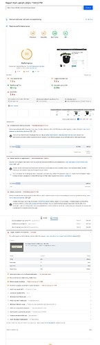 Screenshot 2024-01-24 at 21-43-40 PageSpeed Insights