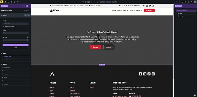 brx-conditions-bug-a-5