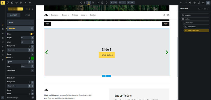 Styles-Builder--03-19-2026_08_15_AM