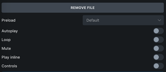 NO BUG and SOLVED: Autoplay video not work - Bugs - Bricks Community Forum