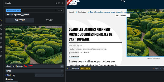 image-featured
