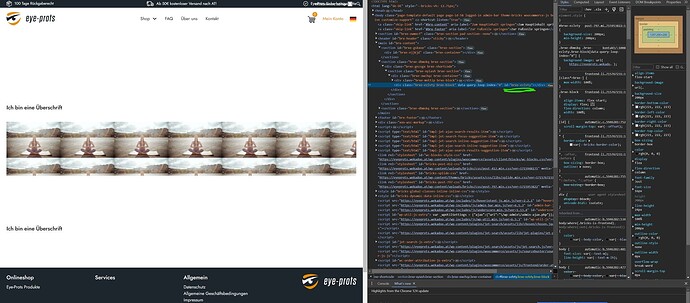 bricks-bug-4