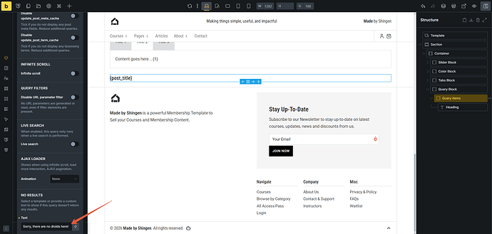 Styles-Builder--04-01-2026_06_12_AM (1)