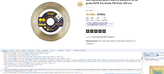 bricks-add-to-cart-bug-2