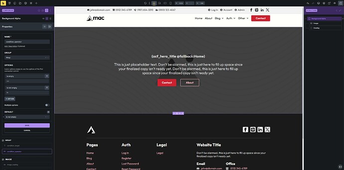 brx-conditions-bug-a-6
