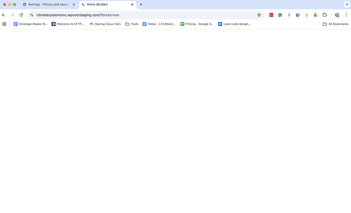 Interface Blank when I open Bricks Builder - Bricks Community Forum