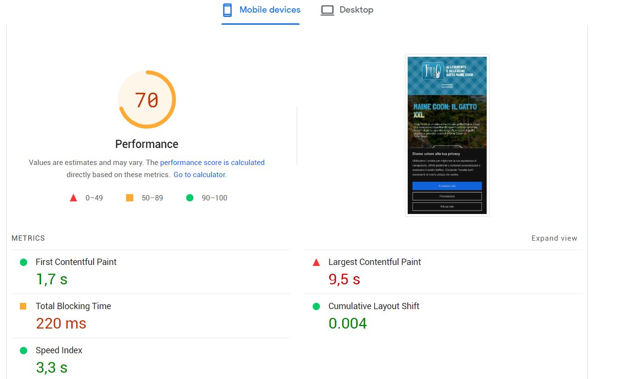 PageSpeed Insights VS gtmetrix - Questions - Forum