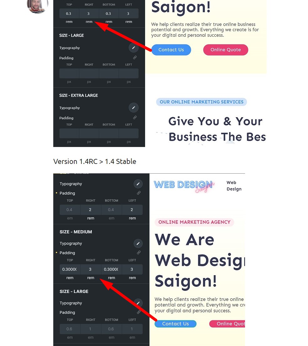 SOLVED: Theme Styles Button values - Bugs - Bricks Community Forum