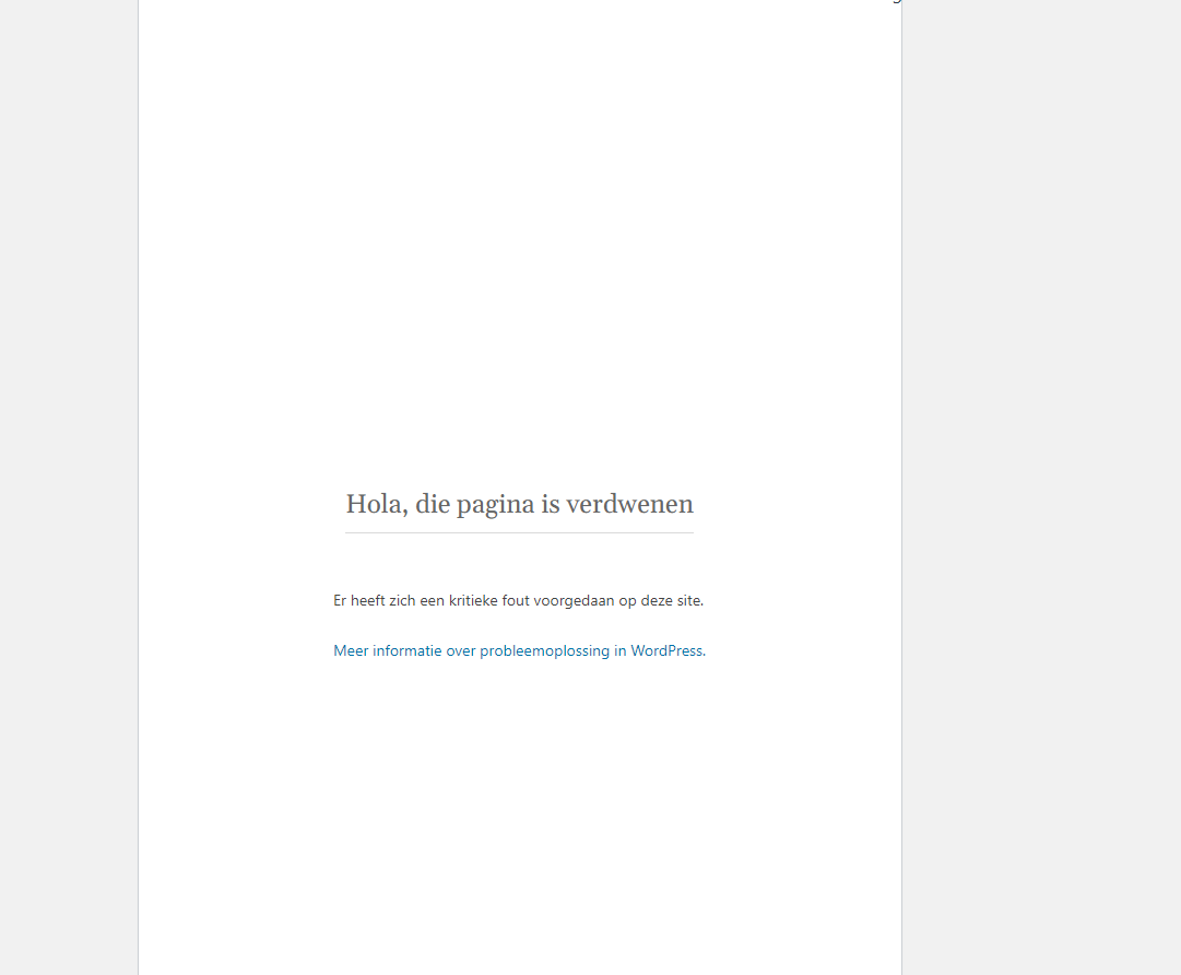 Wait: 404 Page Critical Error - Bugs - Bricks Community Forum