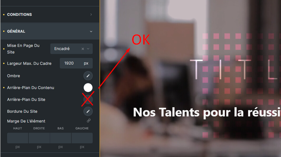 SOLVED: Background video is not visible any more - Bugs - Bricks ...