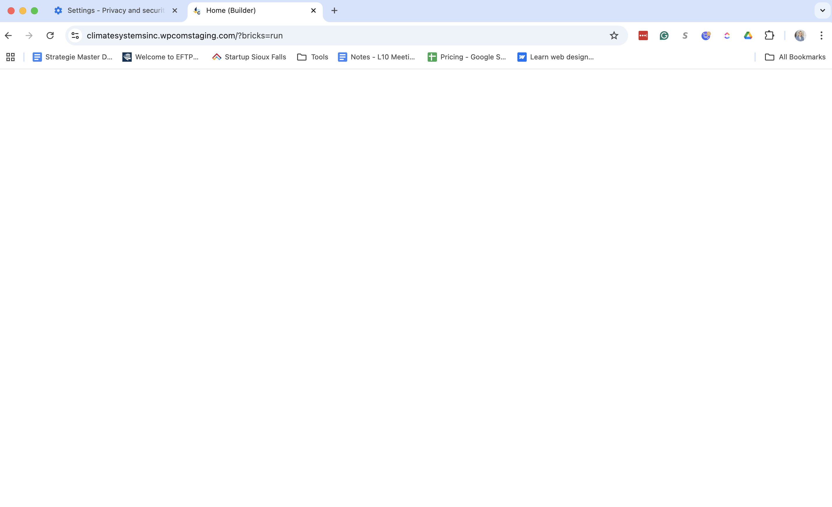 Interface Blank when I open Bricks Builder - Bricks Community Forum